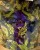 75da714046c48efa0edef20de979