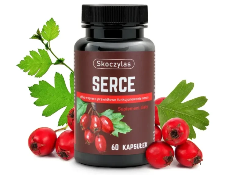 serce_glog_serdecznik_SKOCZYLAS.webp